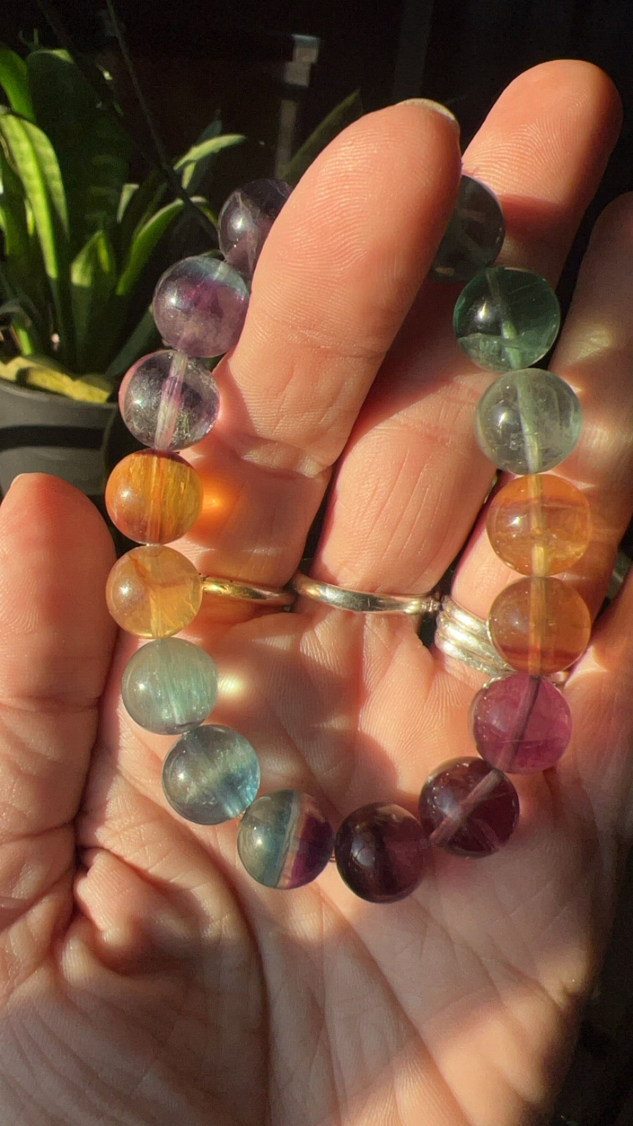 HQ Candy Fluorite Bracelet